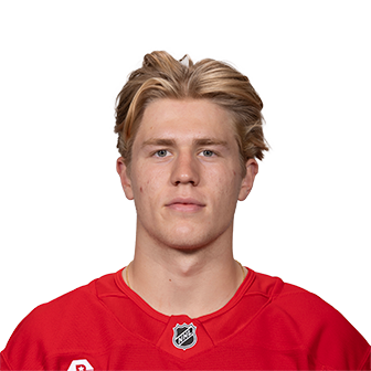 Michael Brandsegg-Nygård
